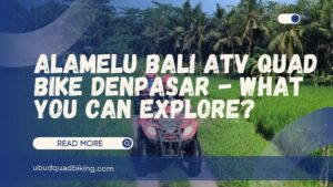 alamelu bali atv quad bike denpasar