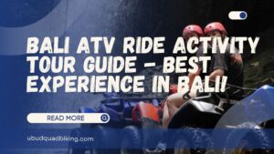 bali atv ride activity tour