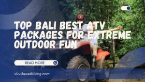 bali best atv