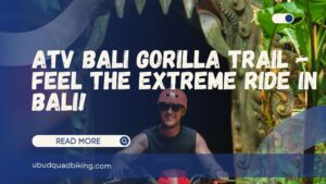 ATV Bali Gorilla Trail
