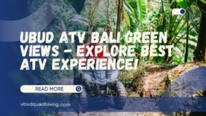 ubud atv bali green views