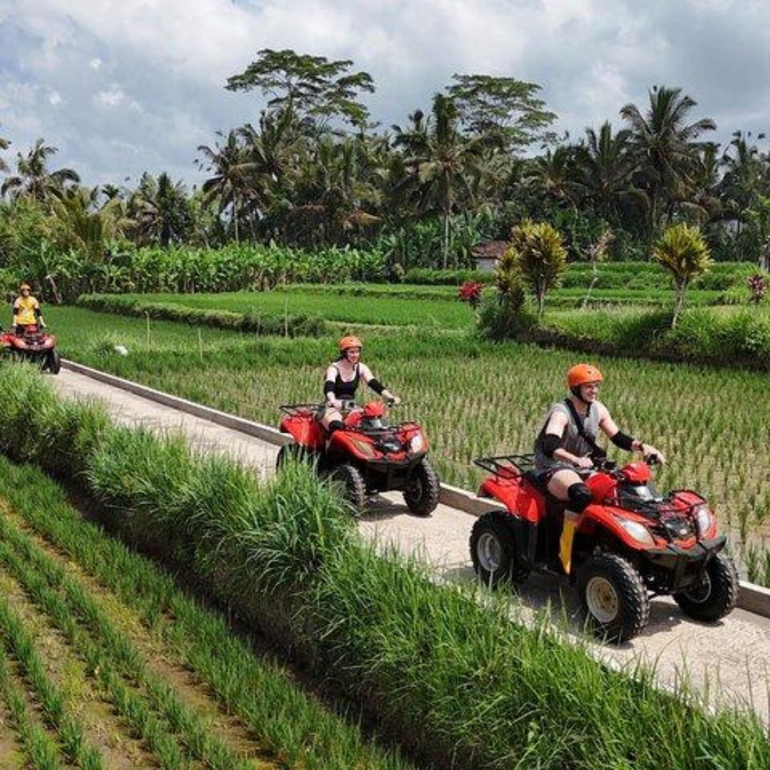 bali atv rice field adventure