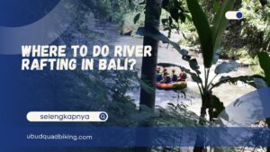 Where to Do River Rafting in Bali