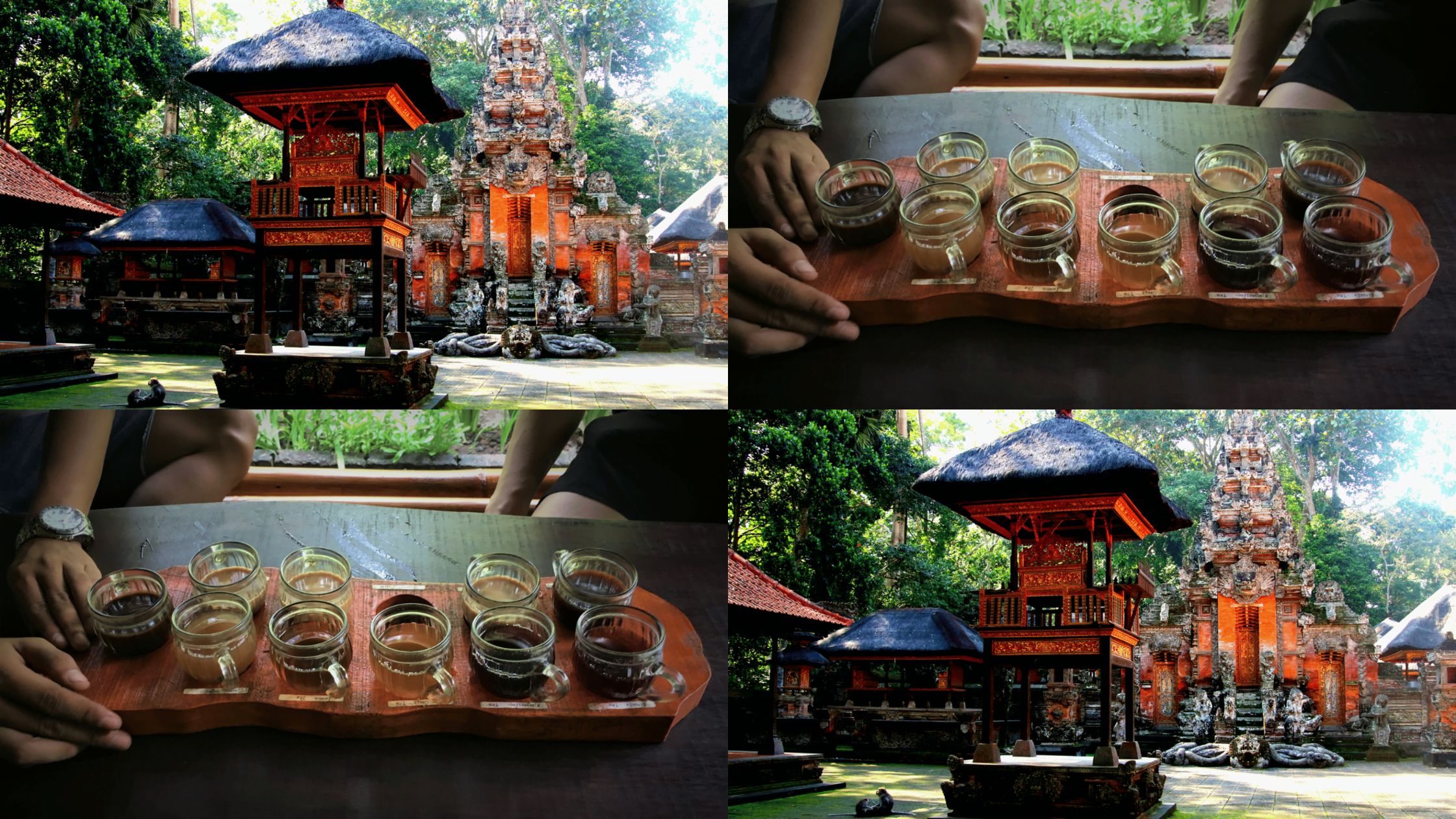 Monkey Forest ATV Bali