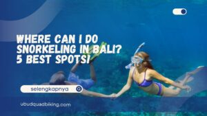 Where Can I Do Snorkeling in Bali