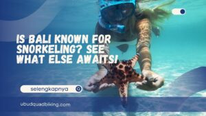 Is Bali known for snorkeling