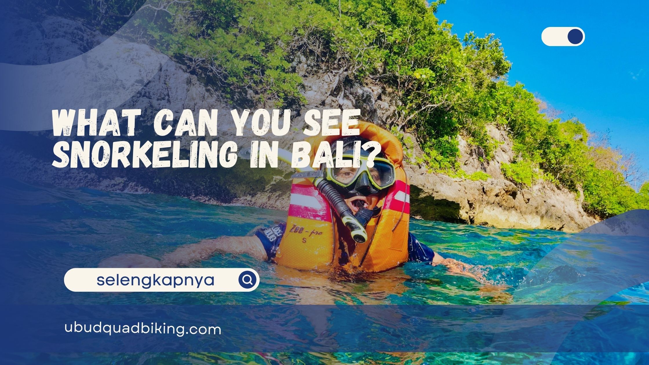 what can you see snorkeling in Bali