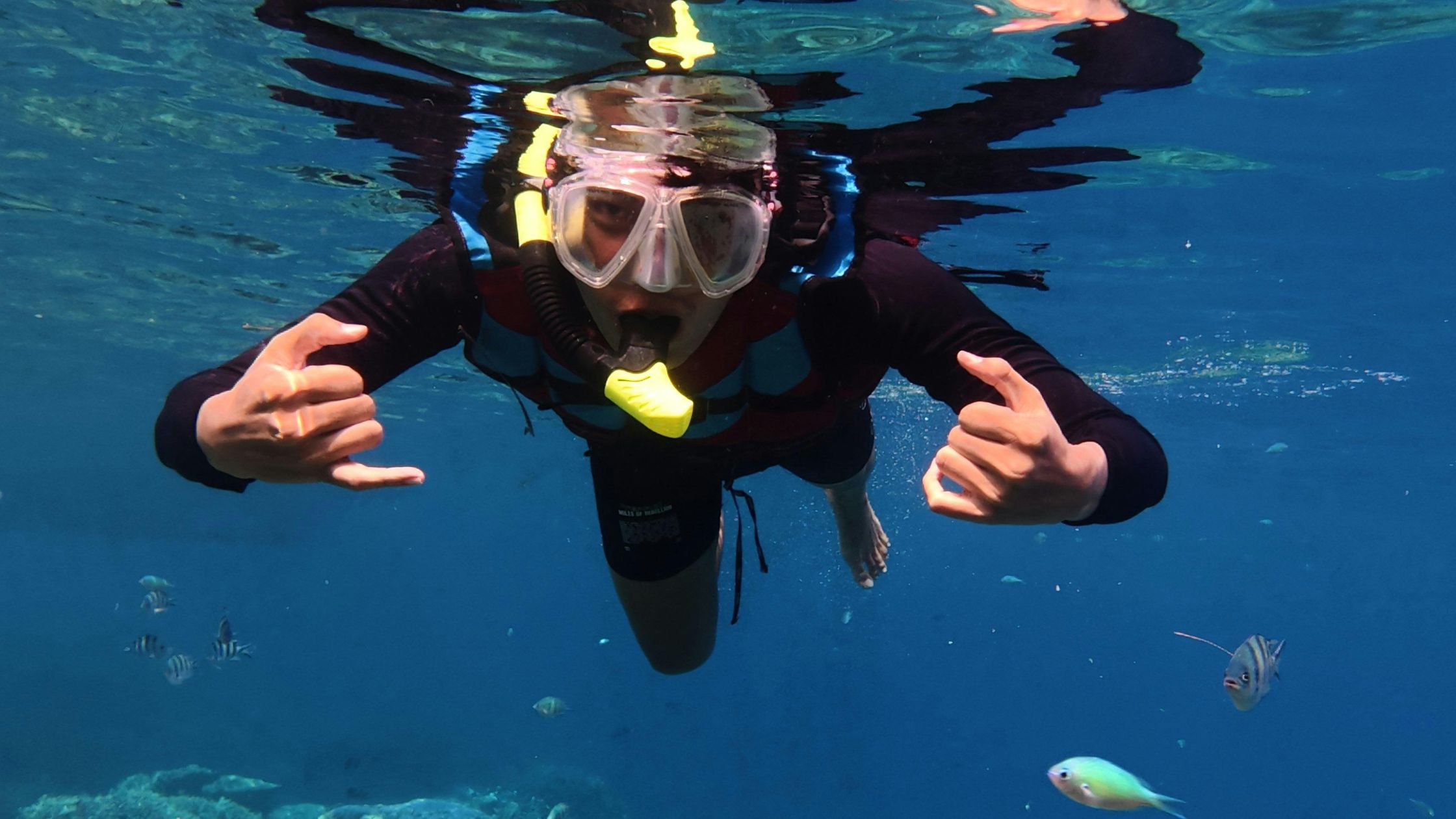 how much snorkeling costs in Bali