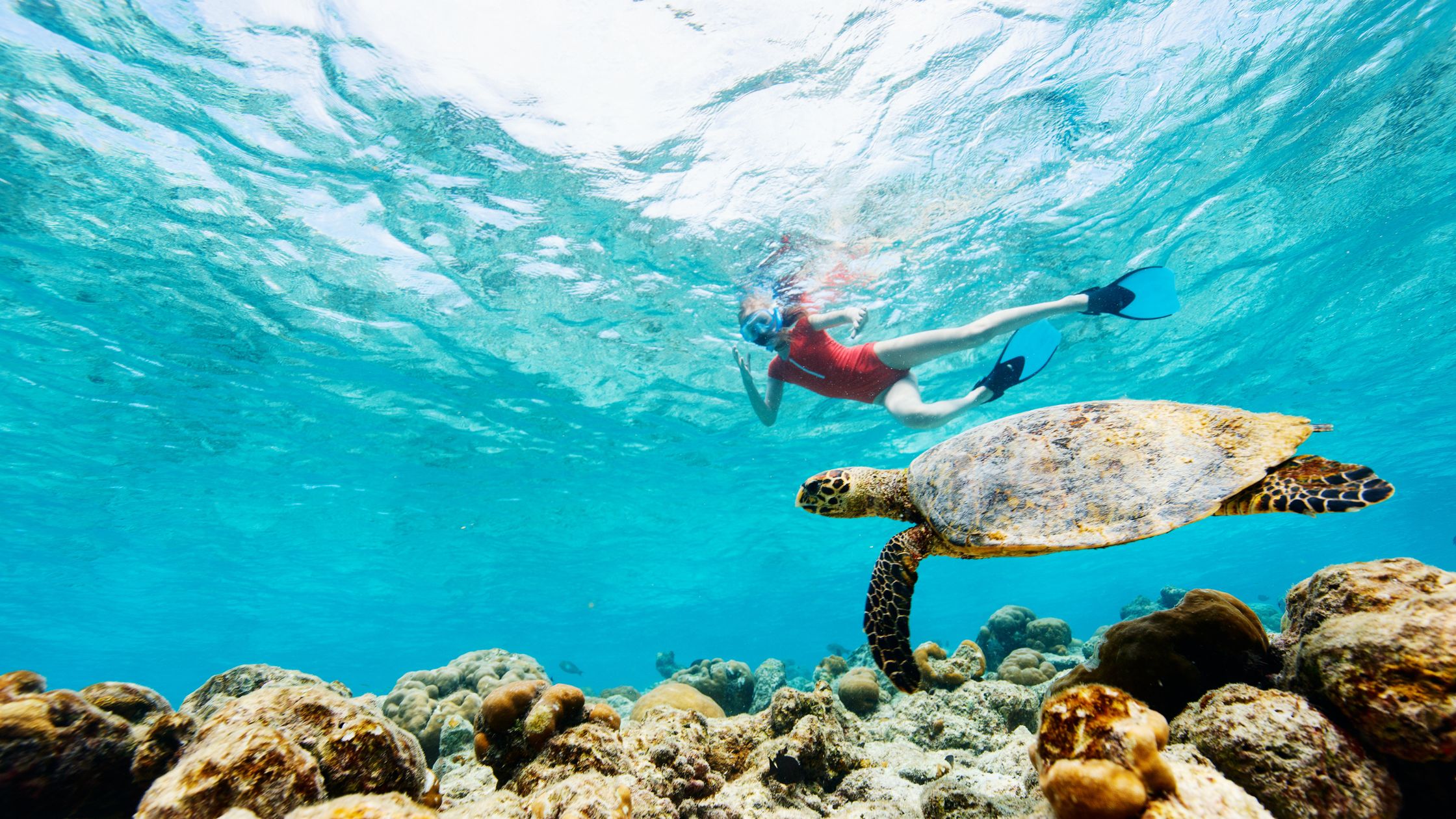 best time to visit Bali