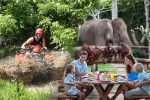 Bali Quad Bike and Orang Utan at Bali Zoo