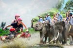 ATV Quad Bike and Elephant Ride Tour